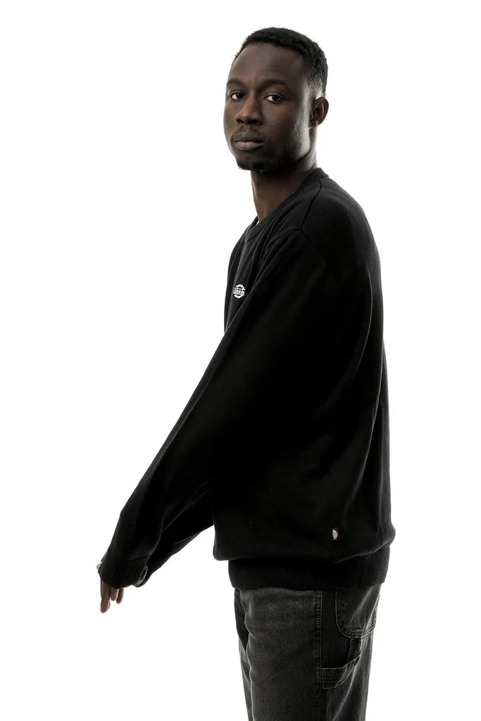dickies uomo felpa Summerdale  DK0A87OPBLK1 Black