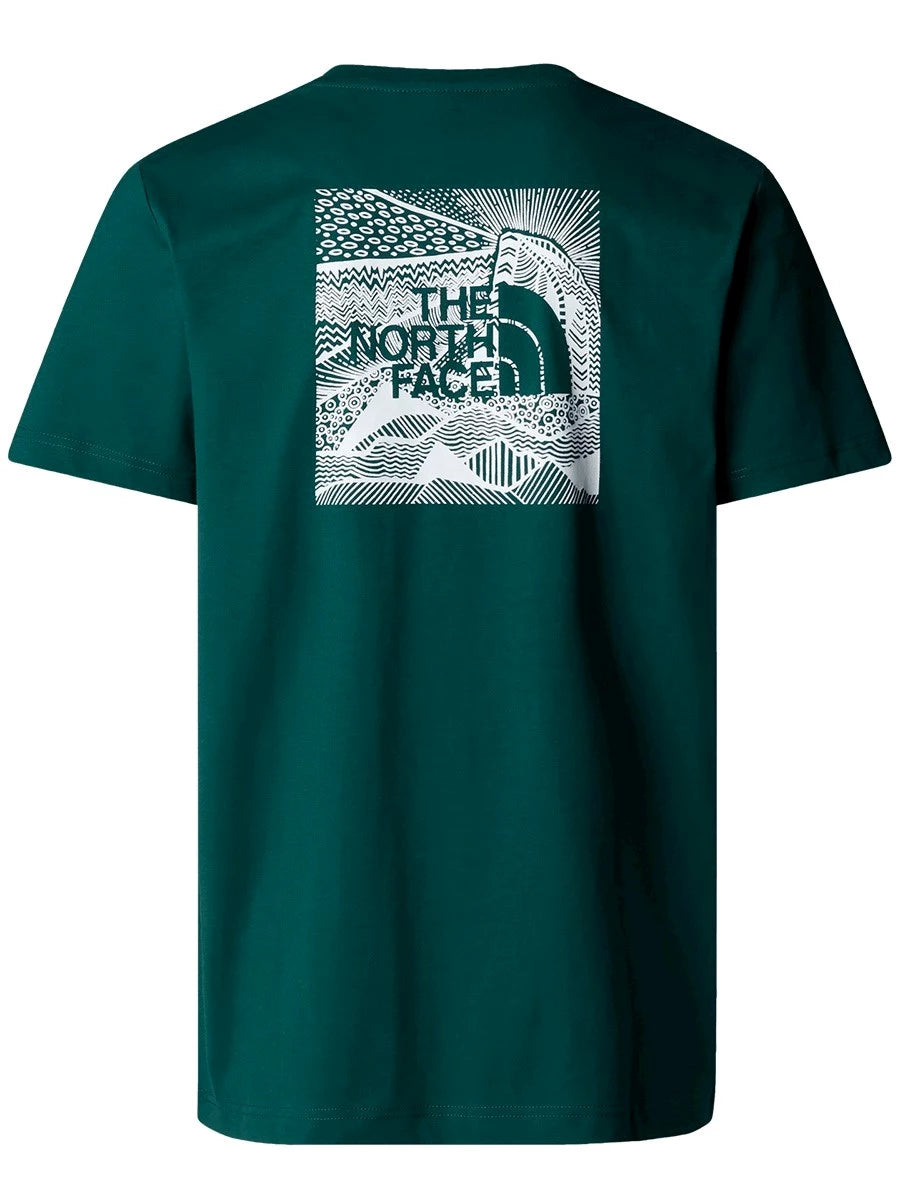 The North Face uomo t-shirt S/S  NF0A87NV6GI1