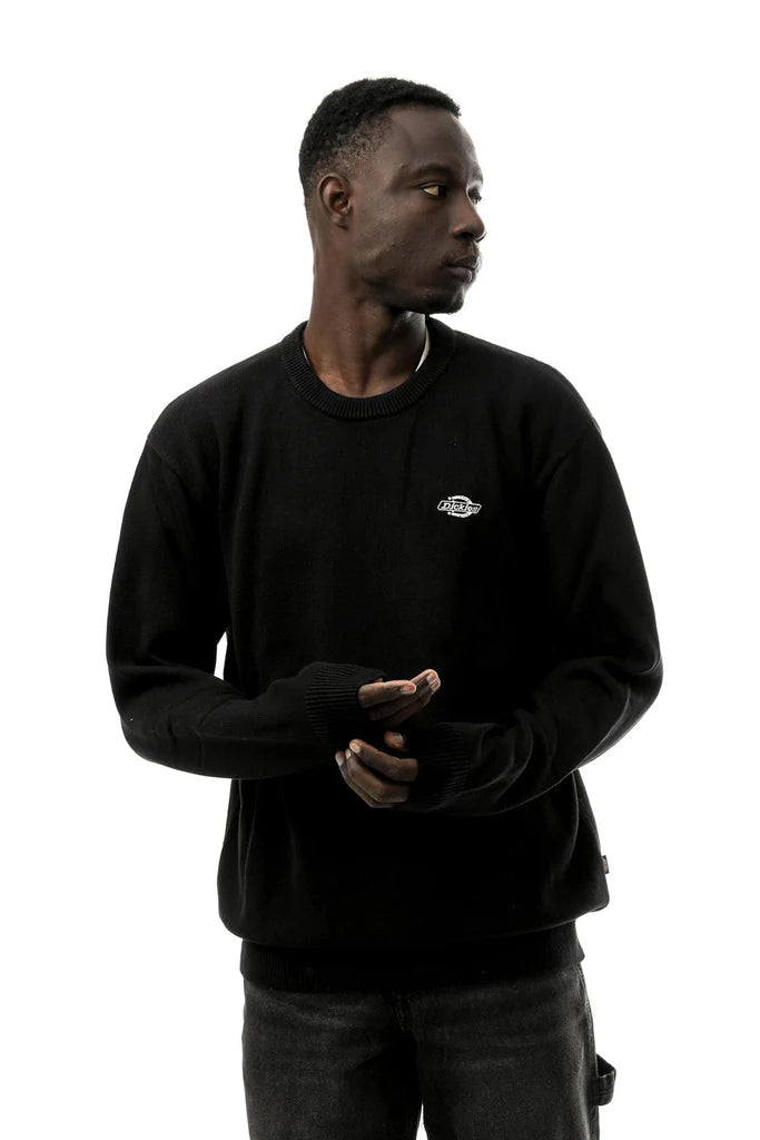 dickies uomo felpa Summerdale  DK0A87OPBLK1 Black