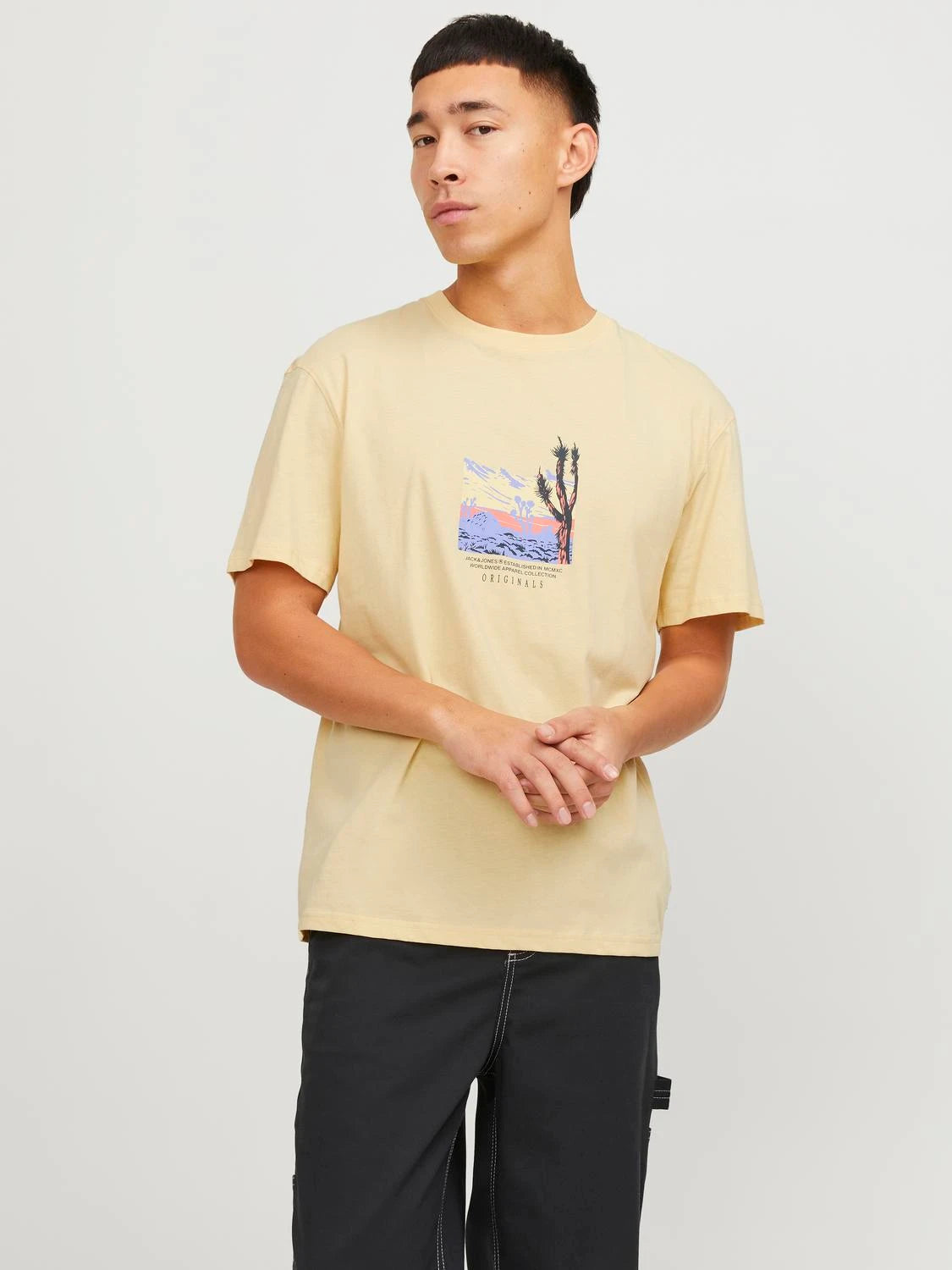 Jack & Jones uomo t-shirt Lucca Graphic 12253613 Italian Straw