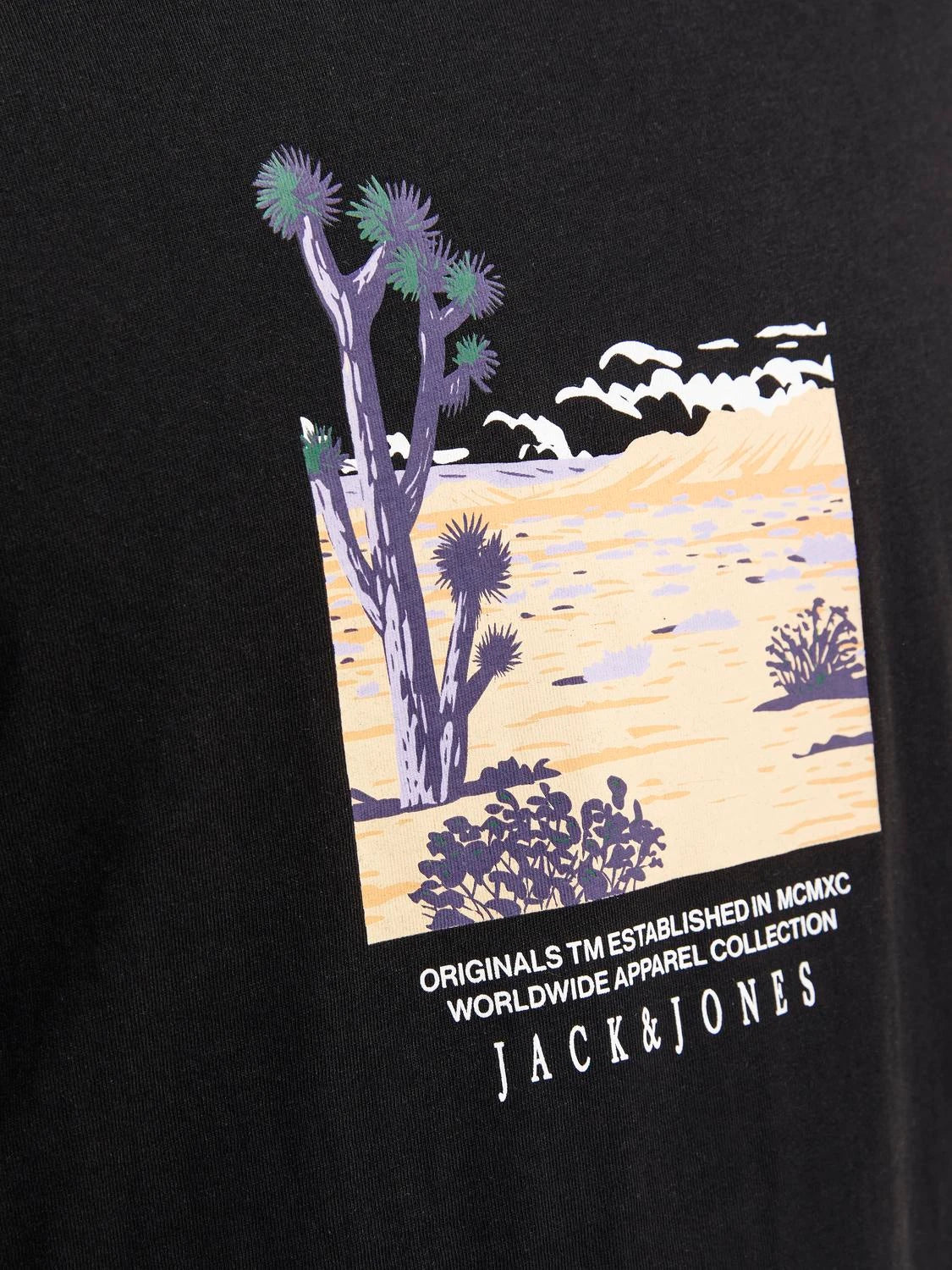 Jack & Jones uomo t-shirt Lucca Graphic 12253613 Nero