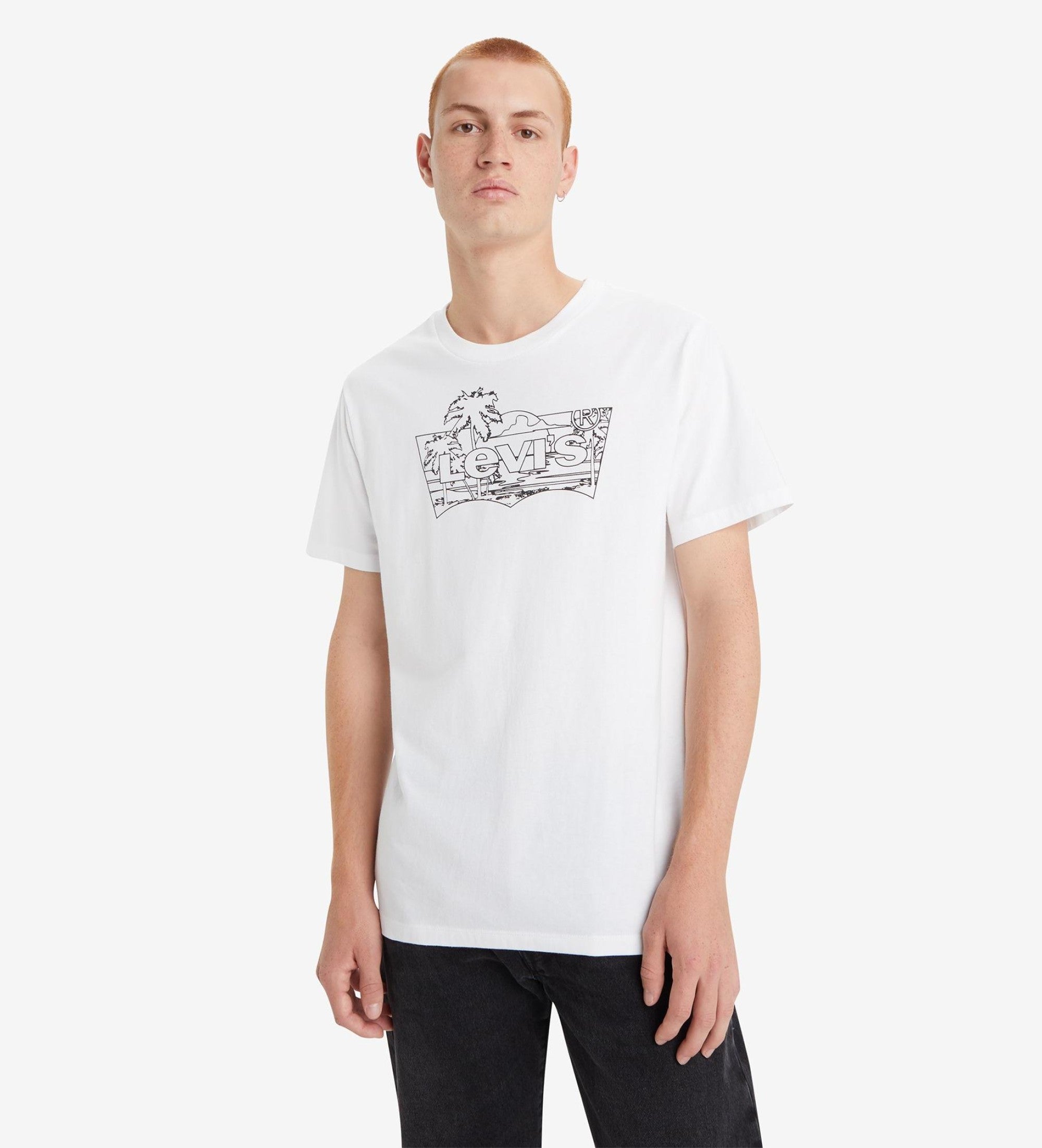 Levi's uomo t-shirt Classic Graphic 22491-1476