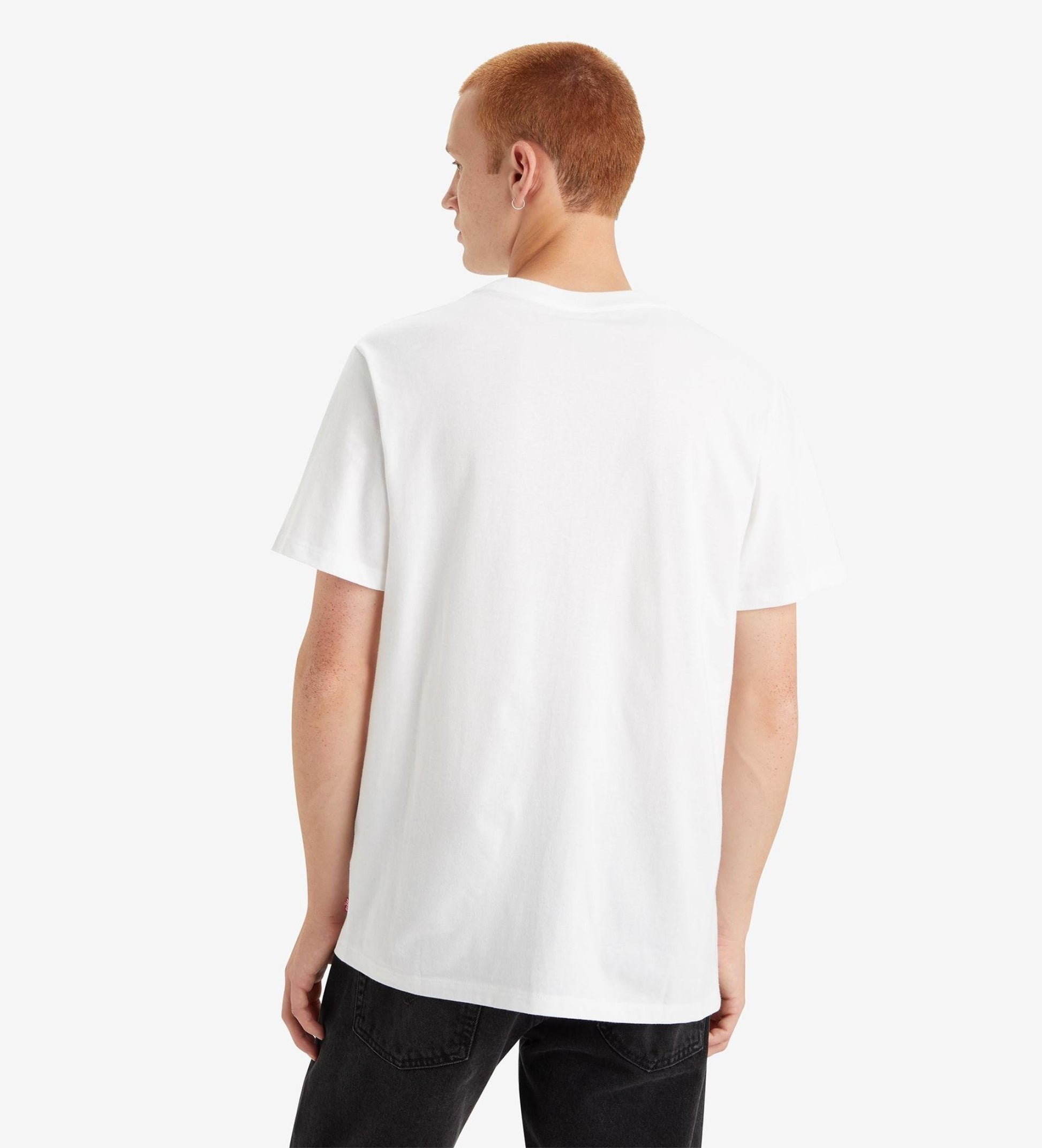 Levi's uomo t-shirt Classic Graphic 22491-1476
