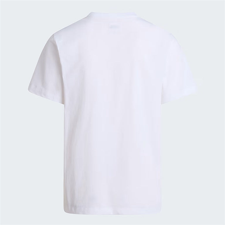 The North Face t-shirt EVOLUTION SIMPLE NF0A8CZ2FN41
