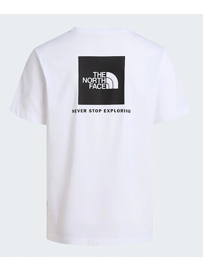 The North Face uomo t-shirt EVOLUTION NF0A8B6KFN41