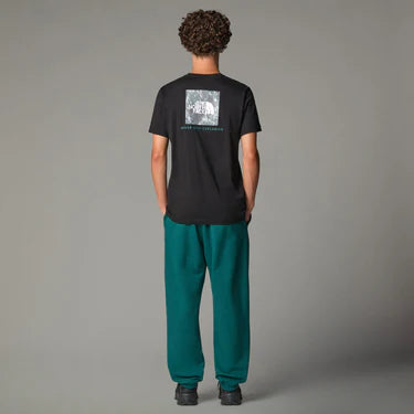 The North Face uomo t-shirt S/S Box Nse NF0A8C4U9431