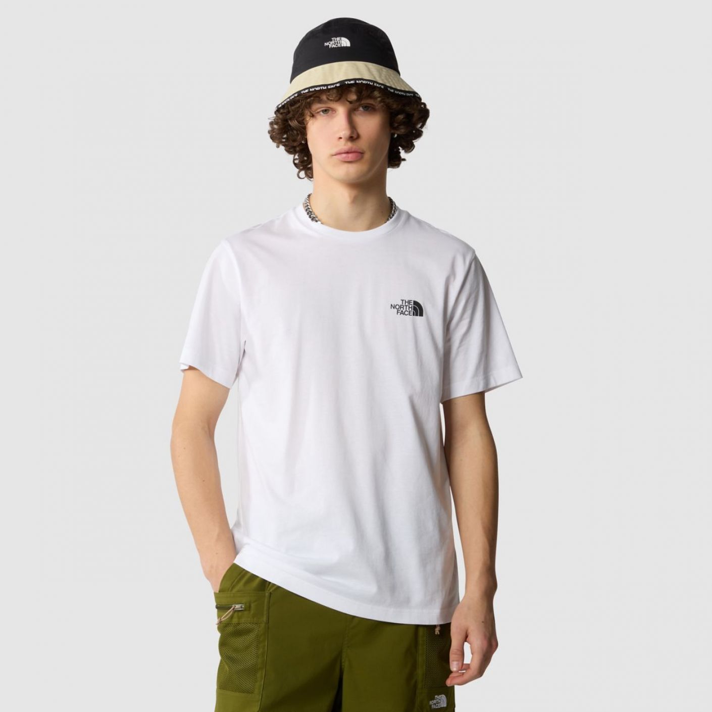 The North Face uomo t-shirt Simple Dome NF0A87NGFN41