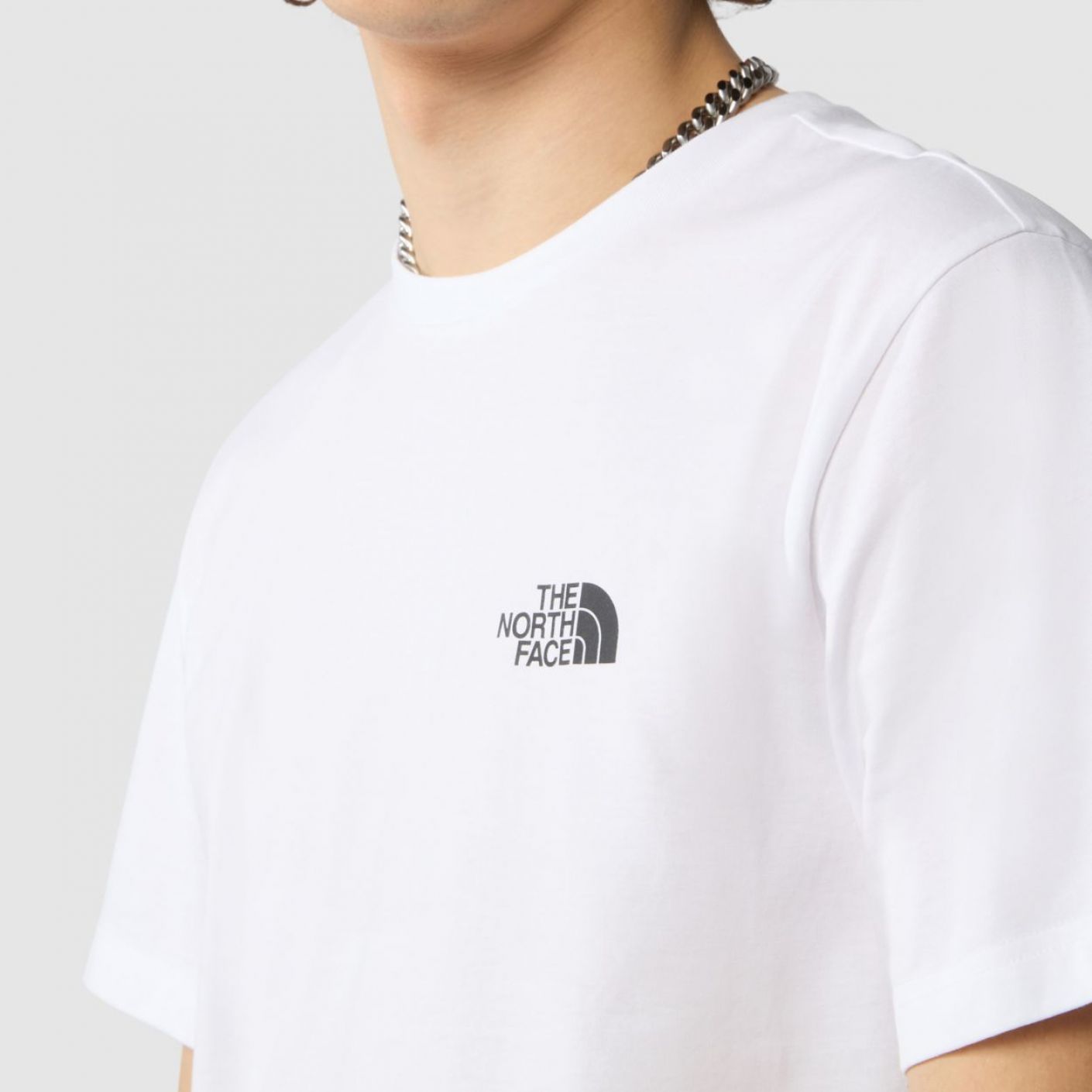 The North Face uomo t-shirt Simple Dome NF0A87NGFN41