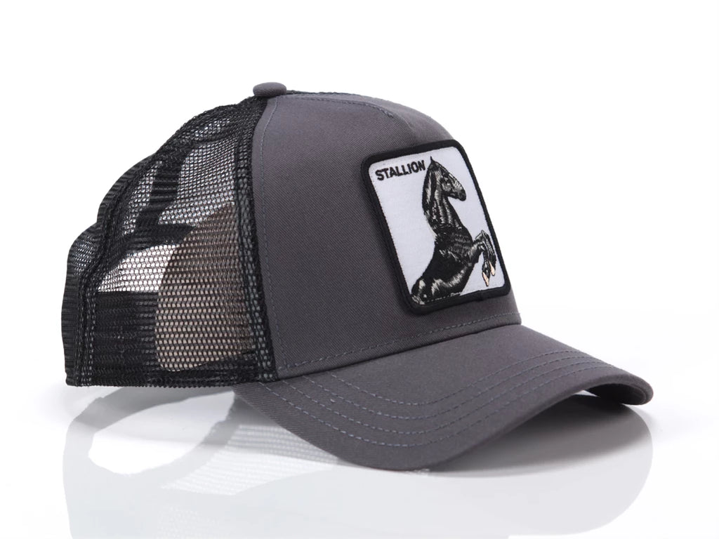 Goorin Bros uomo capello The Stallion 101-0393 GRY