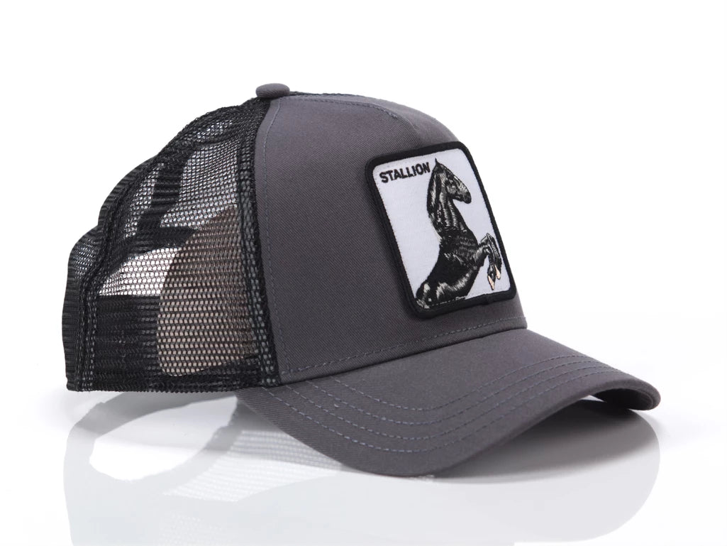 Goorin Bros uomo capello The Stallion 101-0393 GRY