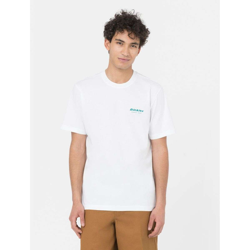 Dickies Uomo T-shirt Leesburg DK0A4Y8QWHX1