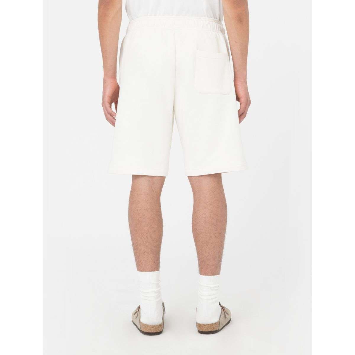 Dickies Uomo Bermuda Mapleton Ecru DK0A4Y83ECR1